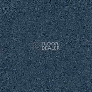 Ковролин Radici Nexus Blu 8262 фото 1 | FLOORDEALER